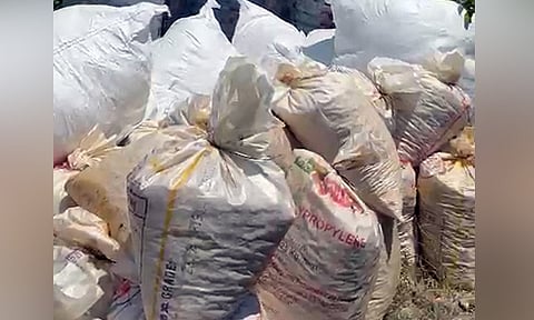 இலங்கைக்கு கடத்த முயன்ற ரூ.25 லட்சம் மதிப்புள்ள விரலி மஞ்சள், பீடி இலைகள் தூத்துக்குடியில் பறிமுதல்