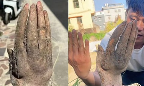 மனிதக் கைபோல விளைந்த சேனைக்கிழங்கு… ரூ.13 லட்சம் கொடுத்தும் விற்க மறுத்த விவசாயி