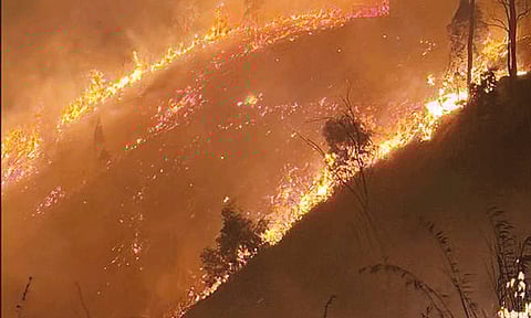 கொடைக்கானலில் விடிய, விடிய பற்றி எரிந்த காட்டுத்தீ
