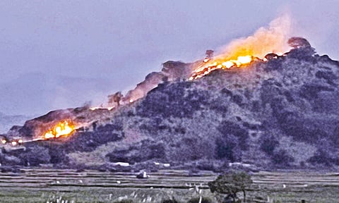 தென்காசி: மலை பகுதியில் பற்றி எரியும் காட்டுத்தீ - அரிய வகை மரங்கள், செடிகள் கருகின
