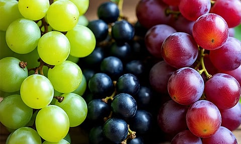 பச்சை, கருப்பு, சிவப்பு திராட்சை