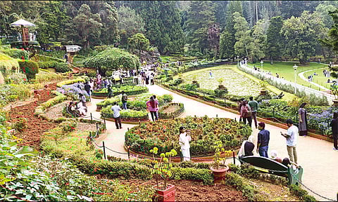 கோடை சீசன்: ஊட்டி அரசு தாவரவியல் பூங்காவில் சினிமா படப்பிடிப்புக்கு தடை