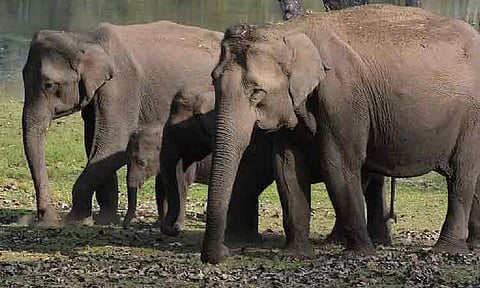 கோப்புப்படம்