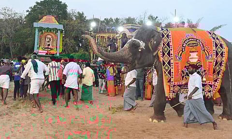 யானை விரட்டல் நிகழ்ச்சி