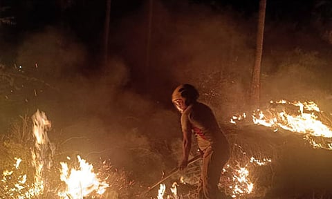 தூத்துக்குடியில் காட்டுத்தீ: தீயணைப்பு வீரர்களின் துரித நடவடிக்கையால் பெரும் விபத்து தவிர்ப்பு