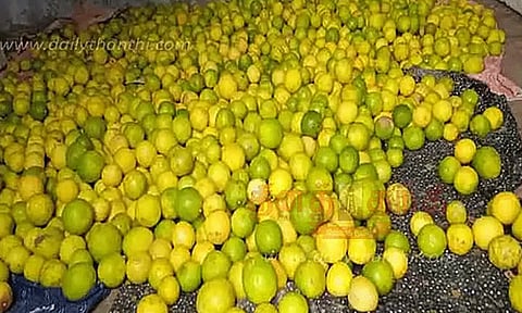 கோடை வெயில்: எலுமிச்சை விலை கிடுகிடு  உயர்வு
