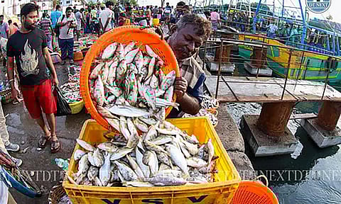 தடை காலம் தொடங்கும் முன்பே மீன்கள் விலை 3 மடங்கு உயர்வு: அசைவ பிரியர்கள் அதிர்ச்சி 
