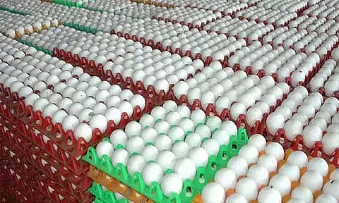 நாமக்கல்லில் முட்டை கொள்முதல் விலை மீண்டும் உயர்வு
