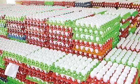 நாமக்கல் மண்டலத்தில் முட்டை விலை மேலும் உயர்வு
