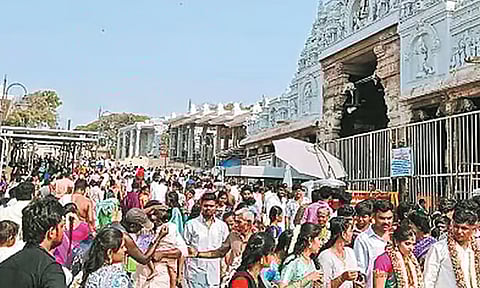 விடுமுறை தினம்: திருச்செந்தூரில் நீண்ட நேரம் காத்திருந்து பக்தர்கள் தரிசனம்
