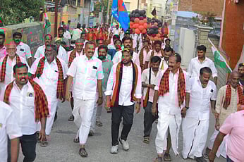 தென்காசி தொகுதி தி.மு.க. வேட்பாளர் கலை கதிரவன் வீதி, வீதியாக நடந்து சென்று வாக்கு சேகரிப்பு