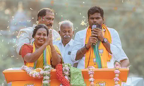 செந்தில் பாலாஜி கோவையில் வெற்றி பெற்றுவிடலாம் என பொய் கணக்கு போட்டிருக்கிறார் - அண்ணாமலை