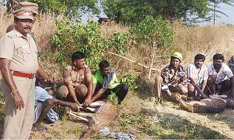 கிணற்றில் விழுந்த 3 புள்ளிமான்கள் உயிருடன் மீட்பு