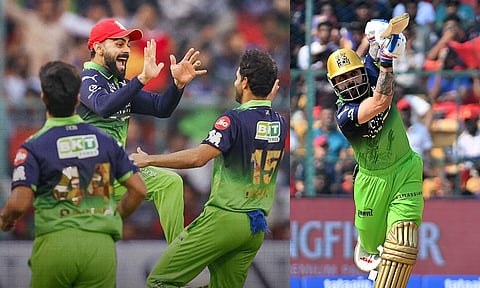 பச்சை நிற ஜெர்சியும் கோலியும் - ஒரு பார்வை