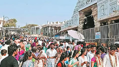 திருச்செந்தூர் முருகன் கோவிலில் குவிந்த பக்தர்கள்.. 3 மணி காத்திருந்து சாமி தரிசனம்
