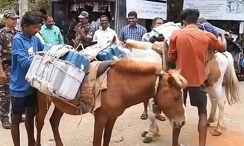 கொடைக்கானல் மலைக் கிராமங்களுக்கு குதிரையில் கொண்டு செல்லப்பட்ட வாக்குப்பதிவு இயந்திரங்கள்
