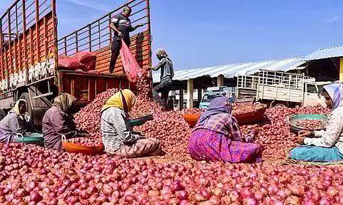  வெங்காயம் விலை கடும் வீழ்ச்சி: விவசாயிகள் வேதனை