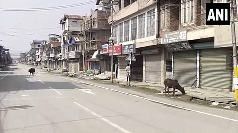 மணிப்பூர்:  எம்.எல்.ஏ. மரணம் எதிரொலியாக 13 மணிநேரம் பந்த்; கடைகள், அலுவலகங்கள் அடைப்பு... வெறிச்சோடிய சாலைகள்
