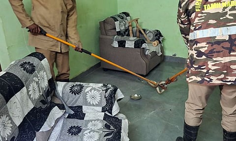 தூத்துக்குடியில் வீட்டிற்குள் புகுந்த 6 அடி நீள சாரைப்பாம்பு - தீயணைப்பு வீரர்கள் மீட்டனர்