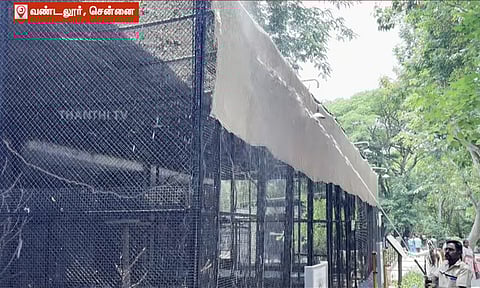 வெயிலின் தாக்கத்தில் இருந்து விலங்குகளை காக்க வண்டலூர் பூங்காவில் சிறப்பு ஏற்பாடுகள்