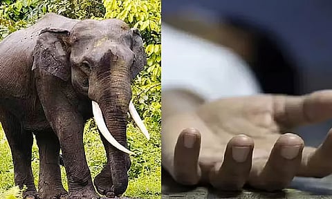 நீலகிரி: காட்டு யானை தாக்கி உயிரிழந்தவரின் உடலை மீட்கச் சென்ற வனத்துறையினர் மீது தாக்குதல்