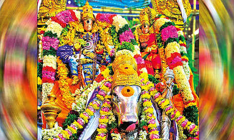 மதுரை சித்திரை திருவிழா: மீனாட்சி அம்மனுக்கு இன்று பட்டாபிஷேகம்