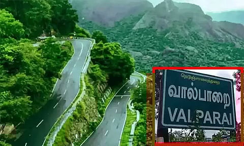 வால்பாறை எஸ்டேட் பகுதியில் சிறுவர்களை  தனியாக கடைகளுக்கு அனுப்ப வேண்டாம் - வனத்துறை அறிவுறுத்தல்