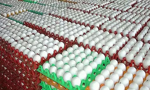 நாமக்கல்லில் முட்டை கொள்முதல் விலை உயர்வு
