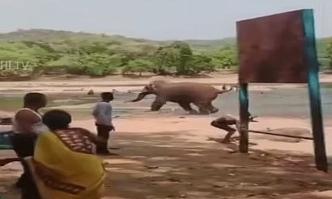 மேக‌தாதுவில் சுற்றுலாப்பயணிகளை தாக்கிய காட்டு யானை