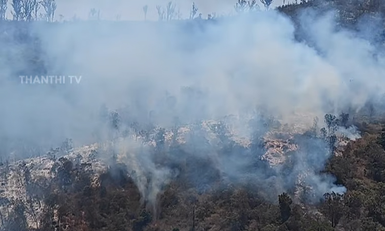 தொடர்ச்சியான முயற்சிகளால் கட்டுப்பாட்டுக்குள் வந்த நீலகிரி காட்டுத்தீ