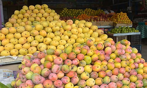 ரசாயனம் கலந்த மாம்பழங்களை விற்றால் ரூ.5 ஆயிரம் அபராதம்: தமிழக  அரசு எச்சரிக்கை