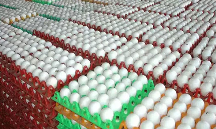 நாமக்கல்லில் முட்டை கொள்முதல் விலை உயர்வு