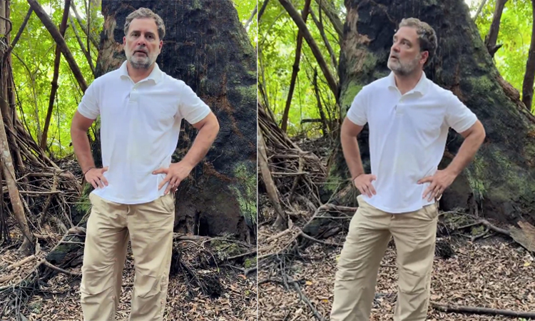 ‘கிரேட் நிக்கோபார் திட்டம் மிகப்பெரிய மோசடி’ - ராகுல் காந்தி குற்றச்சாட்டு 