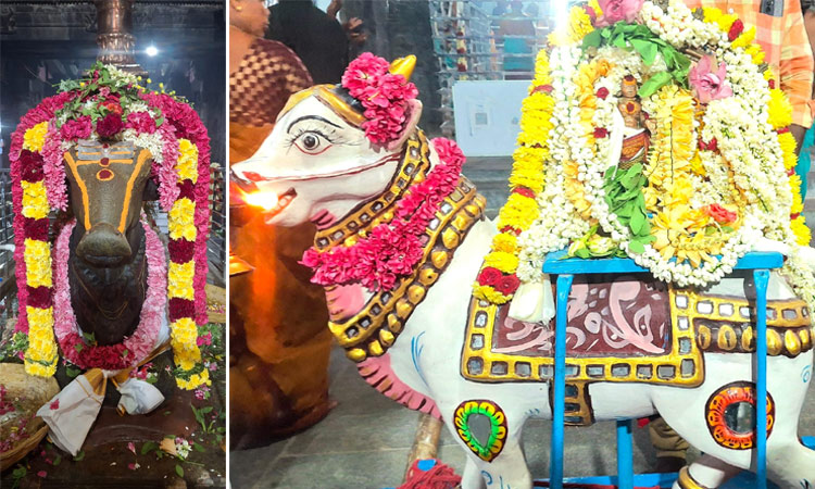 நந்தி வாகனத்தில் பேளூர் தான்தோன்றீஸ்வரர்