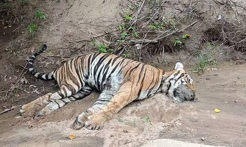 கோப்புப்படம்