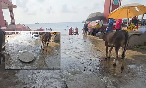 ராமேஸ்வரம் அக்னி தீர்த்ததில் கலக்கும் கழிவு நீர் - பக்தர்கள் அதிர்ச்சி 