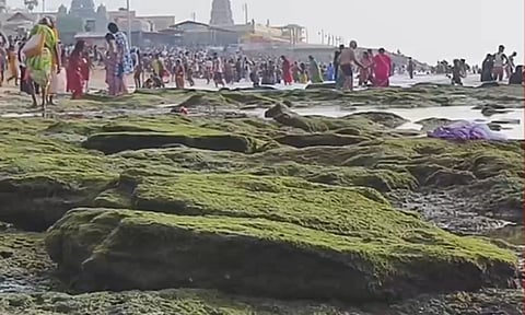 திருச்செந்தூரில் திடீரென உள்வாங்கிய கடல்

