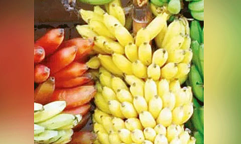காவல் நிலையத்தில் சாவியை விழுங்கிய வாலிபர்: 10 கிலோ வாழைப்பழங்களை சாப்பிட வைத்து வெளியே எடுத்த ருசிகரம்