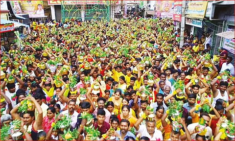 பால்குடம் எடுத்து வந்த பக்தர்கள்