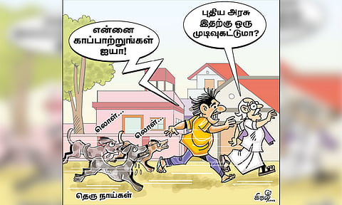புதிய அரசு, தெரு நாய் தொல்லைக்கு முடிவு கட்டுமா?