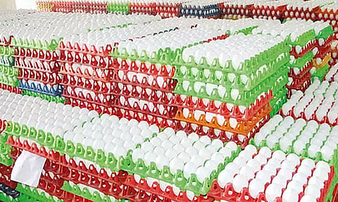 நாமக்கல் மண்டலத்தில் முட்டை விலை 5 காசுகள் உயர்வு 
