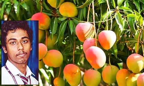 மாம்பழம் பறித்தபோது மின்சாரம் தாக்கி மாணவர் உயிரிழப்பு