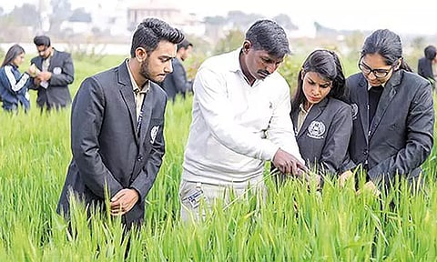 வேளாண் படிப்புகளுக்கு இதுவரை 25,330 பேர் விண்ணப்பம்