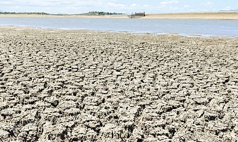 கடுமையாக சரிந்த நீர்மட்டம்: வைகை அணையில் இருந்து தண்ணீர் திறப்பதில் சிக்கல்.. விவசாயிகள் கவலை