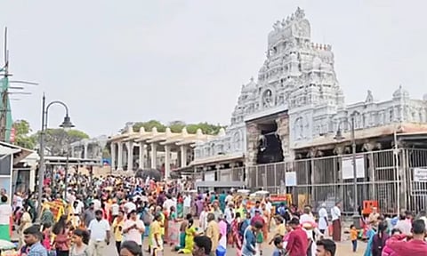 விடுமுறை தினம்: திருச்செந்தூர் கோவிலில் அலைமோதிய பக்தர்கள்