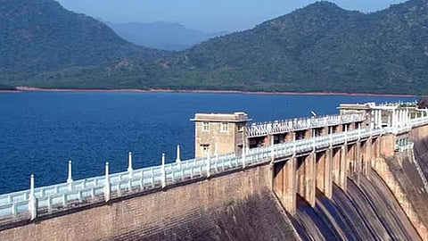 மேற்கு தொடர்ச்சி மலையில் பலத்த மழை: நெல்லை மாவட்ட அணைகளின் நீர்மட்டம் உயர்வு
