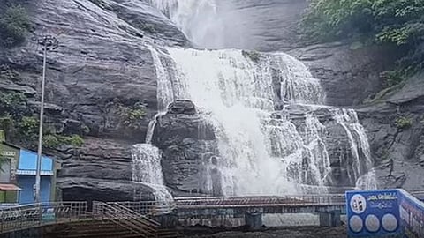 வெள்ளப்பெருக்கு... குற்றாலம் அருவியில் குளிக்க மீண்டும் தடை