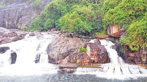குண்டாறு அணை
