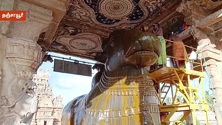தஞ்சை பெரிய கோவிலில் பிரதோஷ வழிபாடு - நந்திக்கு சிறப்பு அபிஷேகம்
