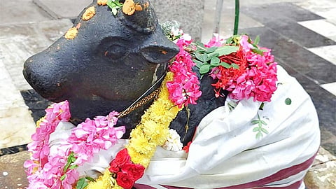நாகை காயாரோகண சுவாமி கோவில், நந்தியம்பெருமான்